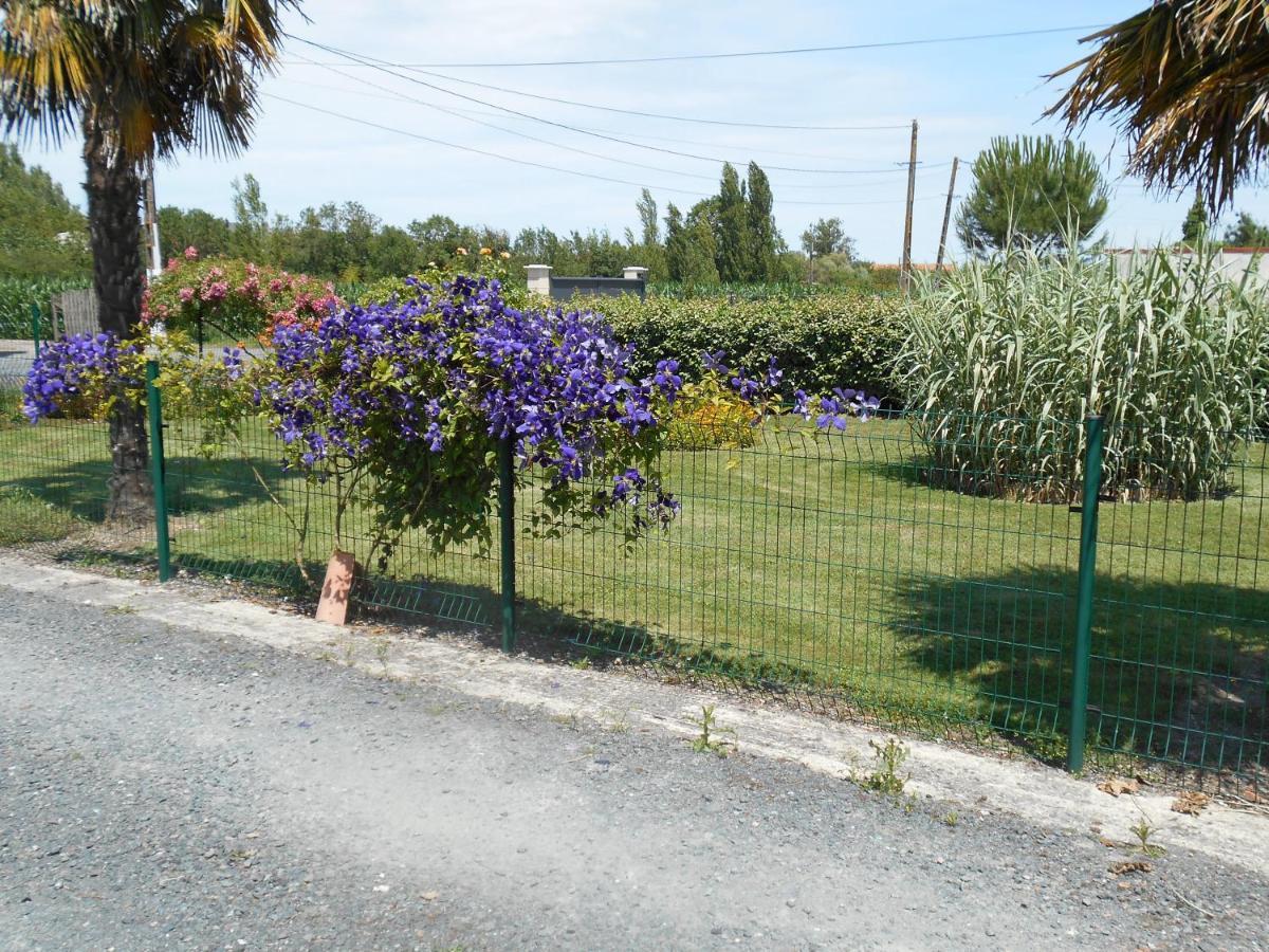 Marais Poitevin Bord Riviere Peche ,Barque, Velos, Wifi, Linge, Cheminee, Cuisine, Terrain De Boules La Taillee Exterior foto