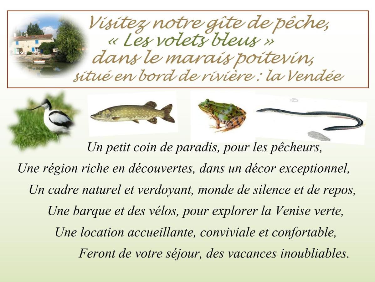 Marais Poitevin Bord Riviere Peche ,Barque, Velos, Wifi, Linge, Cheminee, Cuisine, Terrain De Boules La Taillee Exterior foto