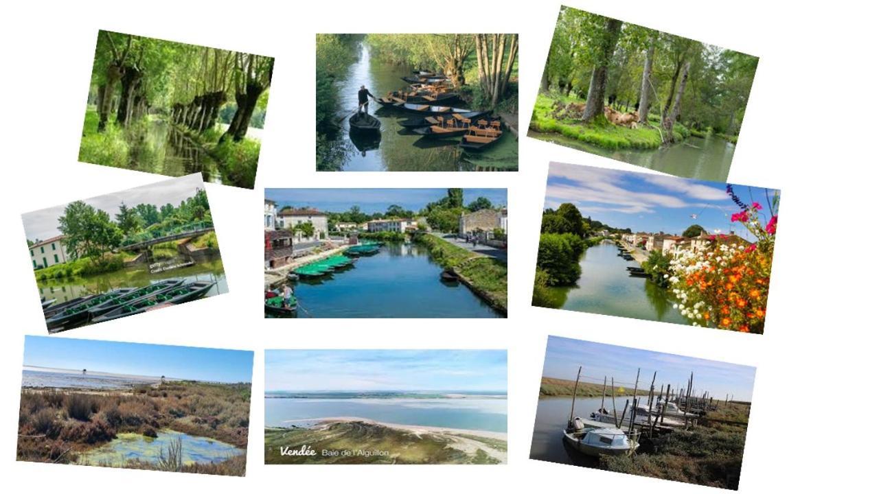 Marais Poitevin Bord Riviere Peche ,Barque, Velos, Wifi, Linge, Cheminee, Cuisine, Terrain De Boules La Taillee Exterior foto